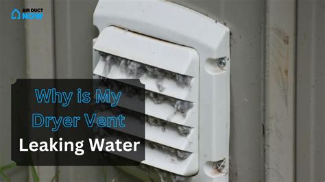 dryer vent leaking in ceiling|Top Causes of Leaking Dryer Vents & What To Do About It